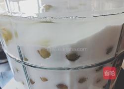 腌青梅汁的做法图解10