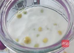 腌青梅汁的做法图解8