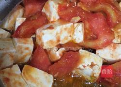 西红柿炒豆腐的做法图解7