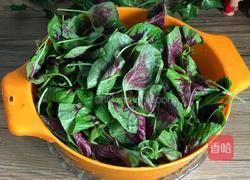 蒜爆红苋菜的做法图解2