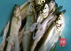 溪鱼炖豆腐的做法图解1