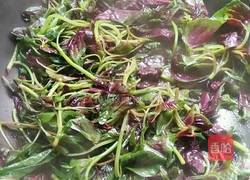 蒜香苋菜的做法图解4