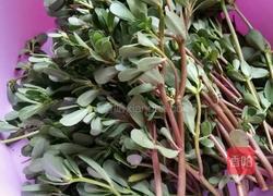 米粉马齿苋的做法图解1