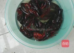 麻辣小龙虾的做法图解1