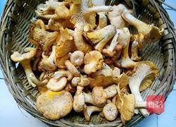 素炒黄丝菌的做法图解1