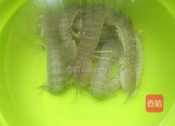 濑尿虾的做法图解1