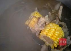 茶树菇鸡爪猪骨玉米汤的做法图解5
