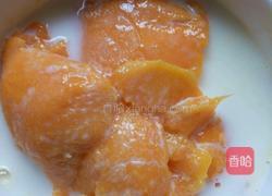芒果奶粉的做法图解4