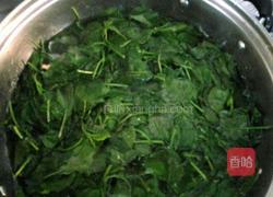瘦肉枸杞叶汤的做法图解6