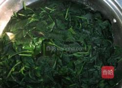 瘦肉枸杞叶汤的做法图解7