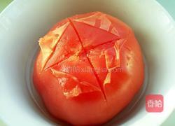 快手通心粉的做法图解3