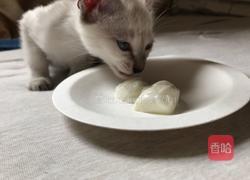 羊奶冻 猫咪零食的做法图解9