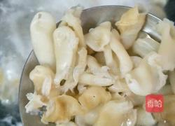 花胶虫草花炖白鸽的做法图解1