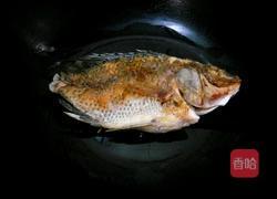 罗非鱼烧青茄的做法图解2