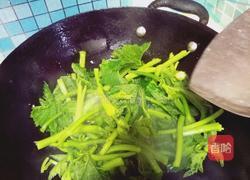 油渣南瓜苗的做法图解8