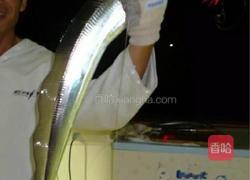 咸鲜带鱼的做法图解1