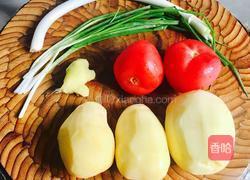 土豆番茄炖牛肉的做法图解4