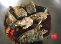 鲅鱼炖萝卜的做法图解12