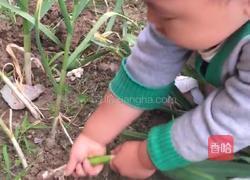 糖醋蒜的做法图解1