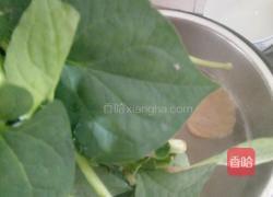 鱼腥草猪展汤的做法图解7