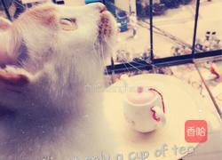 冰茶的做法图解6