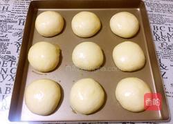 酸奶椰蓉餐包的做法图解12