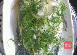 清蒸花斑鱼的做法图解9