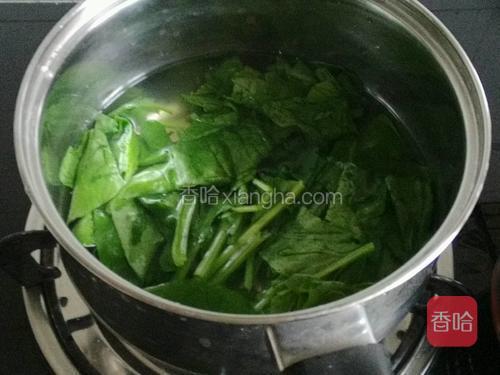 菠菜焯水