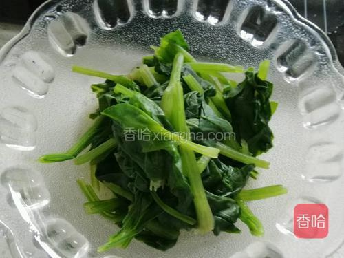菠菜控水