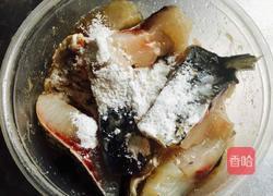 红烧鱼块的做法图解6