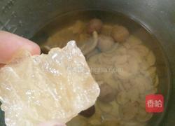 润肺止咳一四物汤的做法图解5