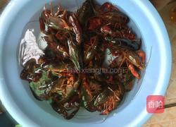 麻辣小龙虾的做法图解1