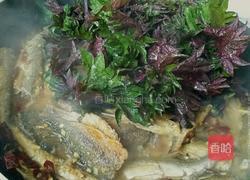 紫苏红烧鱼的做法图解9