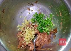 酸菜大馅蒸饺的做法图解6