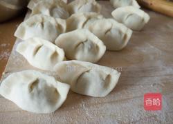白菜馅饺子的做法图解18