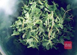 蒜汁马齿苋饼的做法图解1