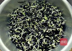 自发黑豆芽的做法图解7