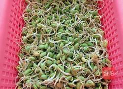 炝炒自发黑豆芽的做法图解1
