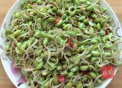 炝炒自发黑豆芽的做法图解3