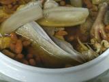 花胶炖白鸽