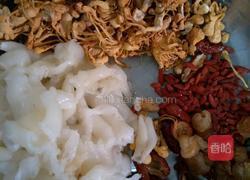 花胶炖白鸽的做法图解1