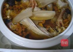 花胶炖白鸽的做法图解4