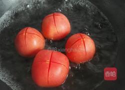 自制番茄酱的做法图解2