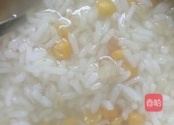 豌豆泥粥的做法图解5
