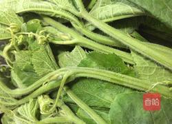 辣椒炒南瓜藤尖的做法图解1