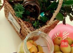 杏梅酒的做法图解2