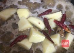 家常土豆炖鸡的做法图解10