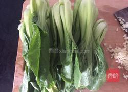 蒜蓉上海青的做法图解2