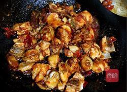 西红柿炖鸡块的做法图解12