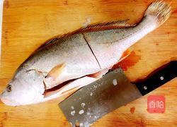 清蒸大黄鱼尾的做法图解1